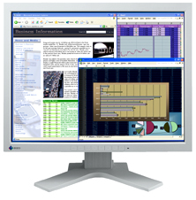 20 EIZO FlexScan® L985EX